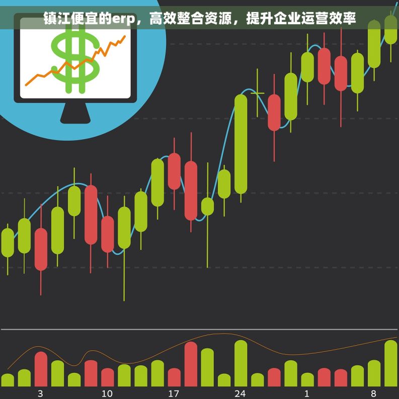 镇江便宜的erp，高效整合资源，提升企业运营效率