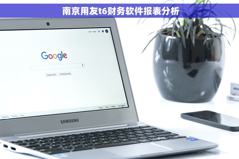  南京用友t6财务软件报表分析