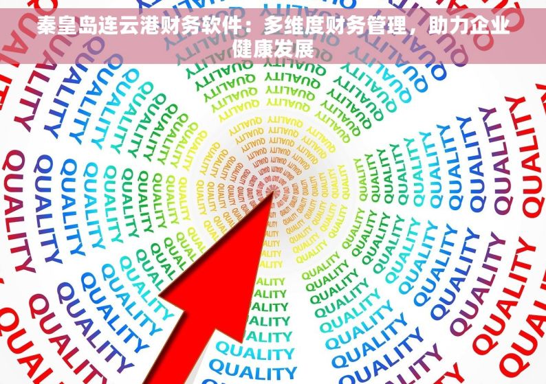 秦皇岛连云港财务软件：多维度财务管理，助力企业健康发展