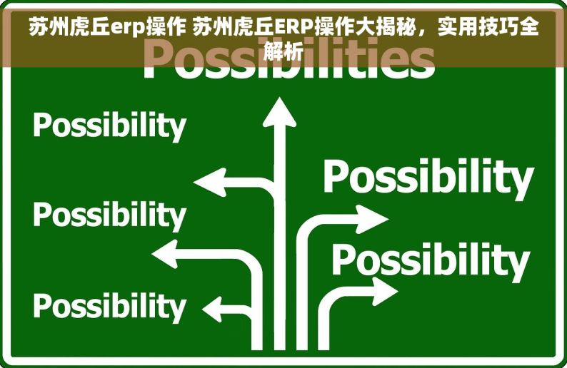 苏州虎丘erp操作 苏州虎丘ERP操作大揭秘，实用技巧全解析