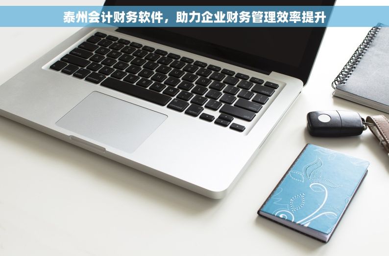 泰州会计财务软件，助力企业财务管理效率提升
