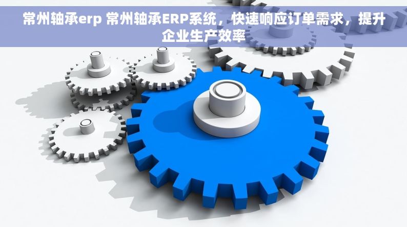 常州轴承erp 常州轴承ERP系统，快速响应订单需求，提升企业生产效率