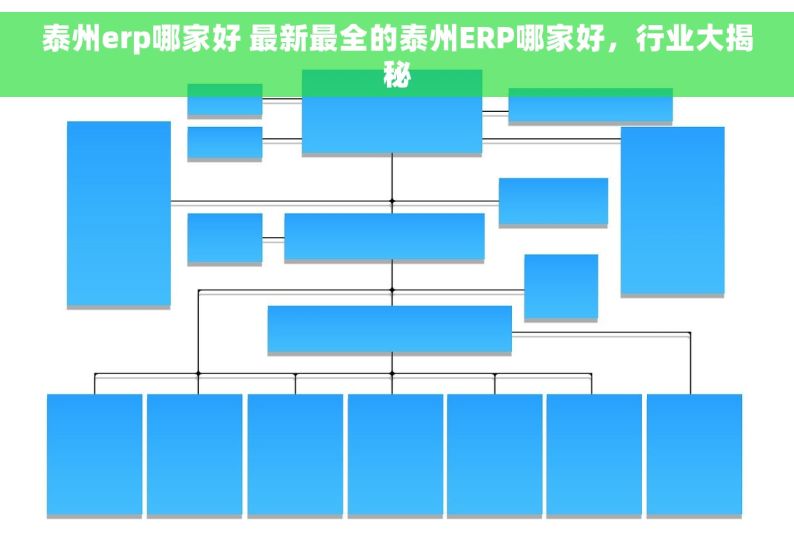 泰州erp哪家好 最新最全的泰州ERP哪家好，行业大揭秘