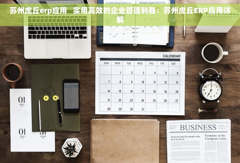 苏州虎丘erp应用   实用高效的企业管理利器：苏州虎丘ERP应用详解