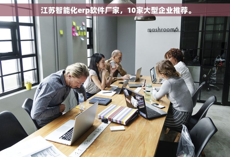  江苏智能化erp软件厂家，10家大型企业推荐。