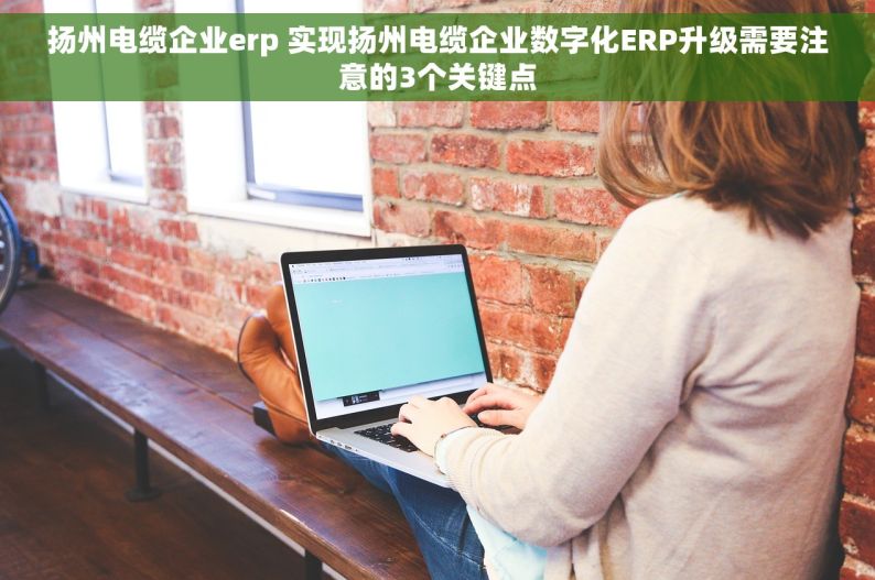 扬州电缆企业erp 实现扬州电缆企业数字化ERP升级需要注意的3个关键点