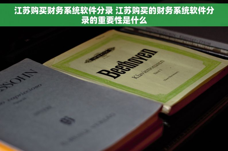江苏购买财务系统软件分录 江苏购买的财务系统软件分录的重要性是什么