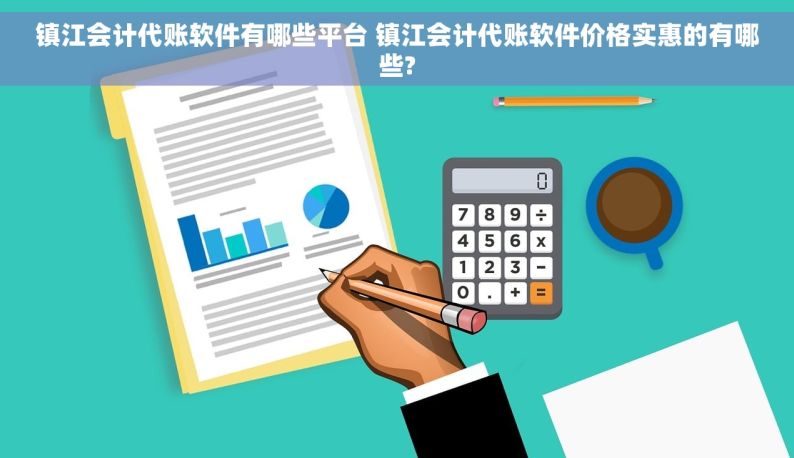 镇江会计代账软件有哪些平台 镇江会计代账软件价格实惠的有哪些?