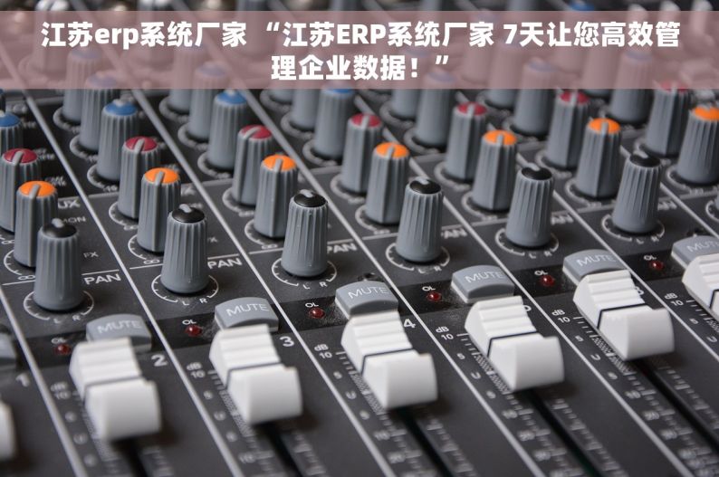 江苏erp系统厂家 “江苏ERP系统厂家 7天让您高效管理企业数据！”