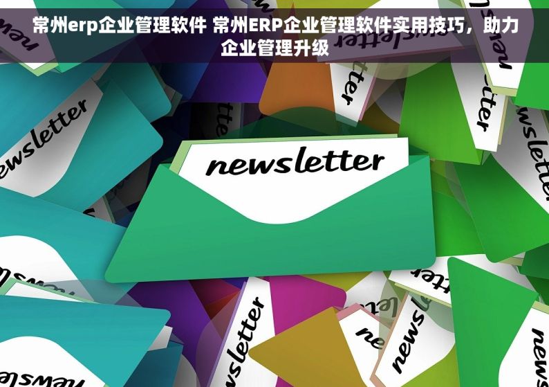 常州erp企业管理软件 常州ERP企业管理软件实用技巧，助力企业管理升级