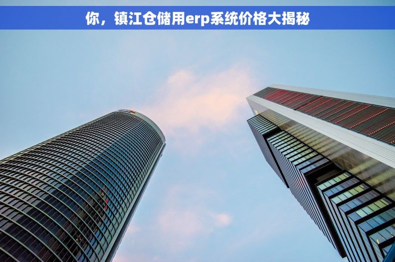 你，镇江仓储用erp系统价格大揭秘