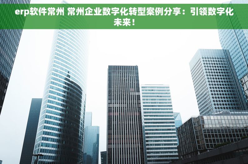 erp软件常州 常州企业数字化转型案例分享：引领数字化未来！