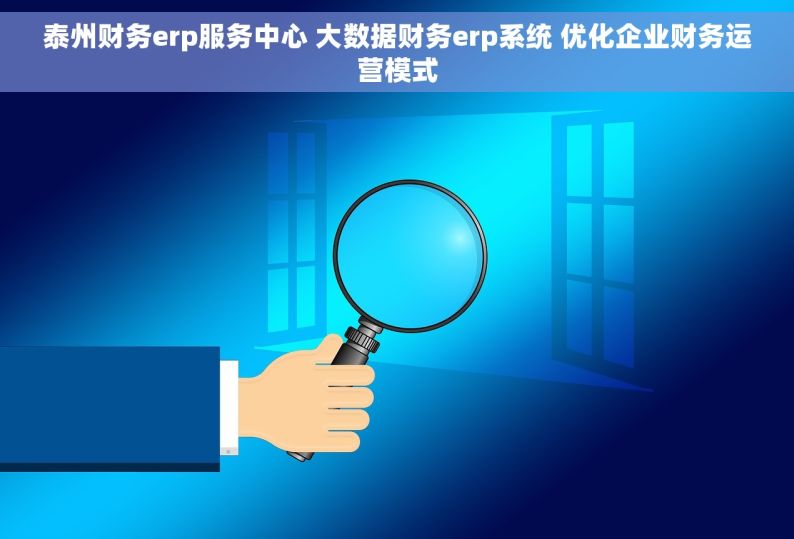 泰州财务erp服务中心 大数据财务erp系统 优化企业财务运营模式