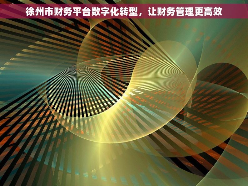 徐州市财务平台数字化转型，让财务管理更高效