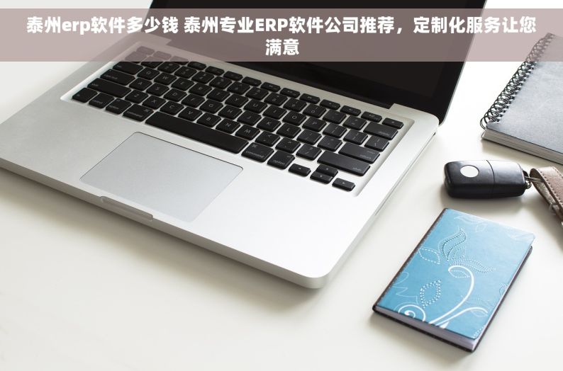 泰州erp软件多少钱 泰州专业ERP软件公司推荐，定制化服务让您满意