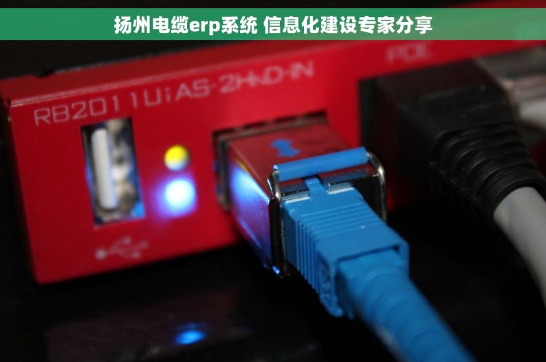 扬州电缆erp系统 信息化建设专家分享