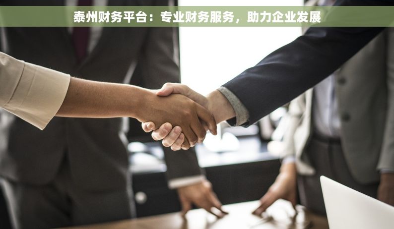泰州财务平台：专业财务服务，助力企业发展