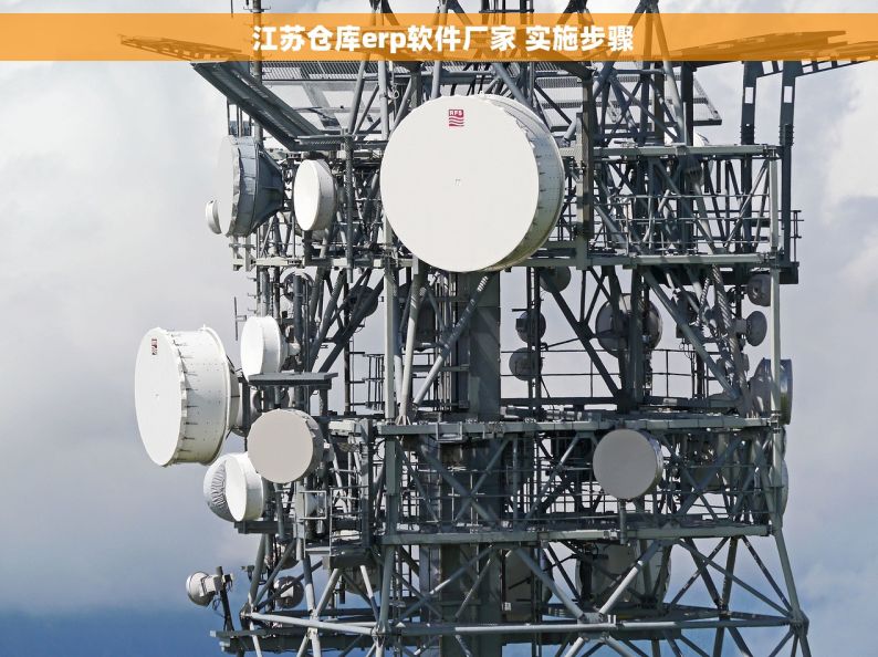  江苏仓库erp软件厂家 实施步骤