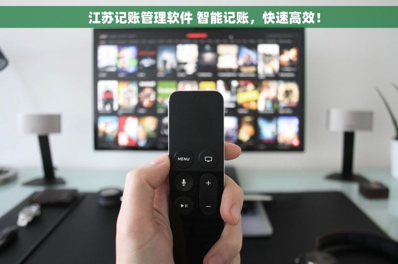    江苏记账管理软件 智能记账，快速高效！
