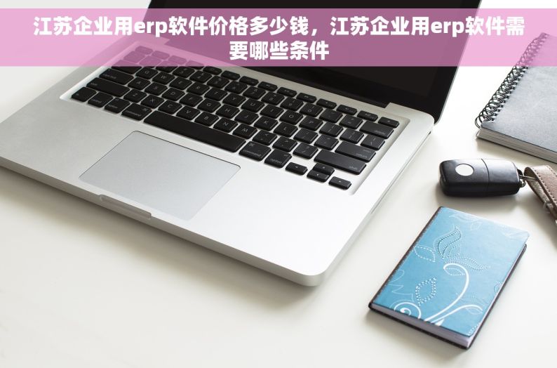 江苏企业用erp软件价格多少钱，江苏企业用erp软件需要哪些条件