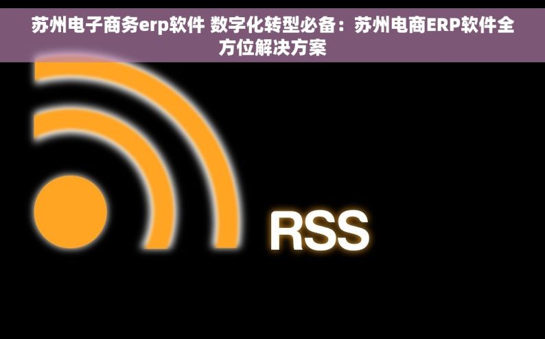 苏州电子商务erp软件 数字化转型必备：苏州电商ERP软件全方位解决方案