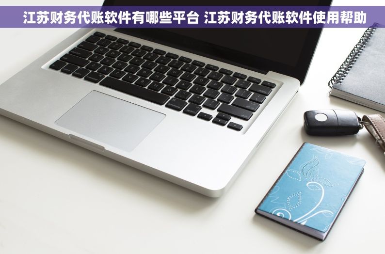  江苏财务代账软件有哪些平台 江苏财务代账软件使用帮助