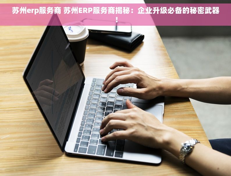 苏州erp服务商 苏州ERP服务商揭秘：企业升级必备的秘密武器！