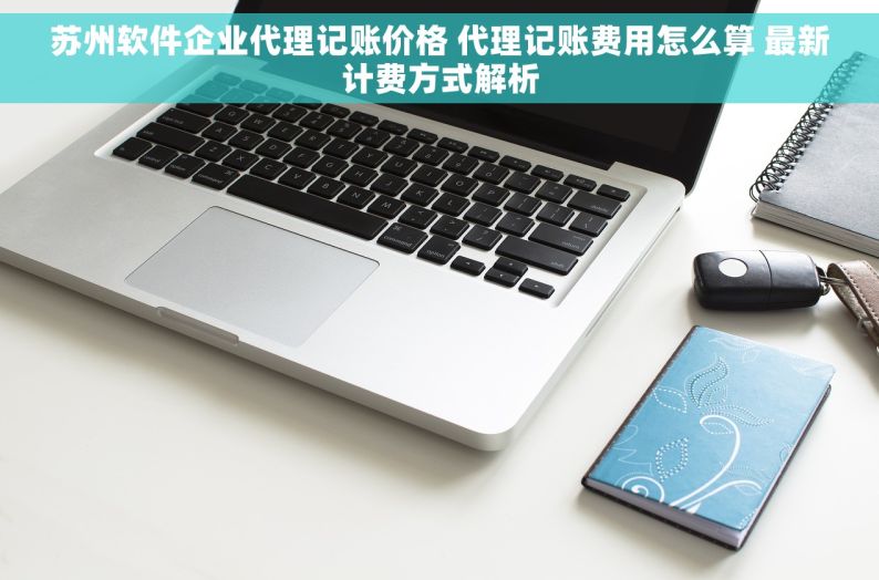 苏州软件企业代理记账价格 代理记账费用怎么算 最新计费方式解析