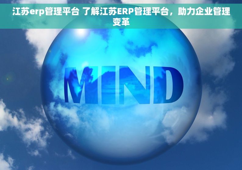 江苏erp管理平台 了解江苏ERP管理平台，助力企业管理变革