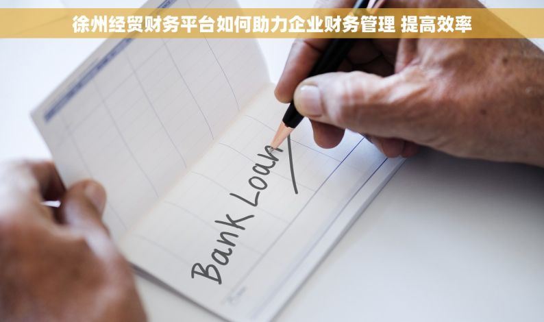 徐州经贸财务平台如何助力企业财务管理 提高效率