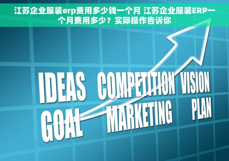 江苏企业服装erp费用多少钱一个月 江苏企业服装ERP一个月费用多少？实际操作告诉你