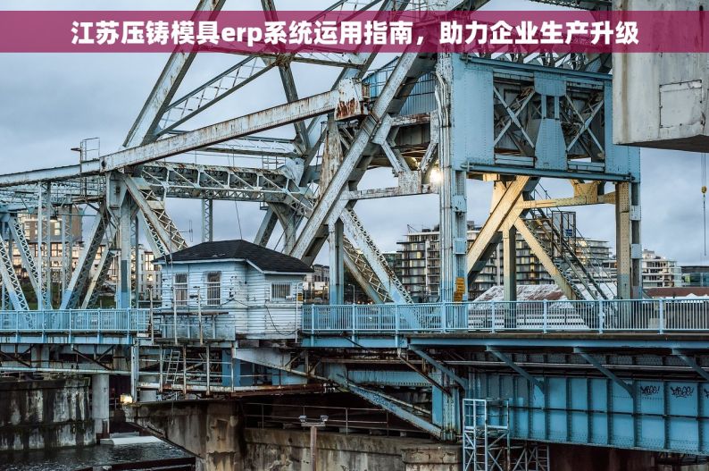 江苏压铸模具erp系统运用指南，助力企业生产升级