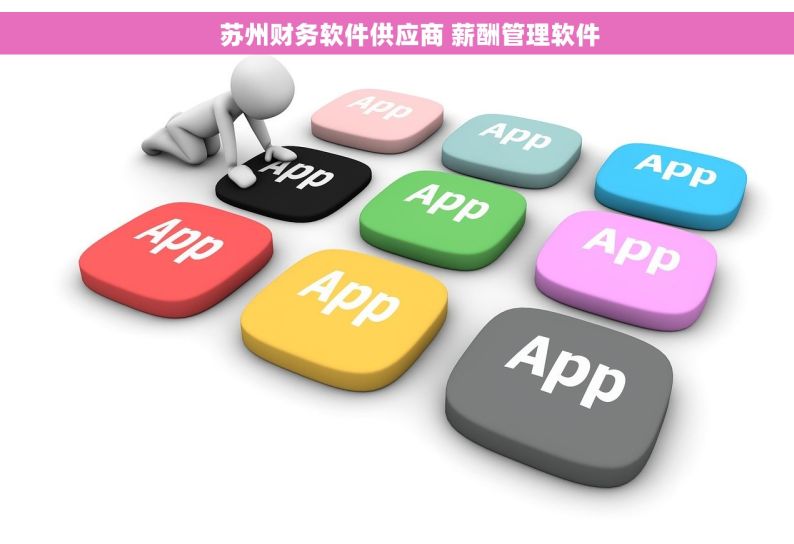     苏州财务软件供应商 薪酬管理软件