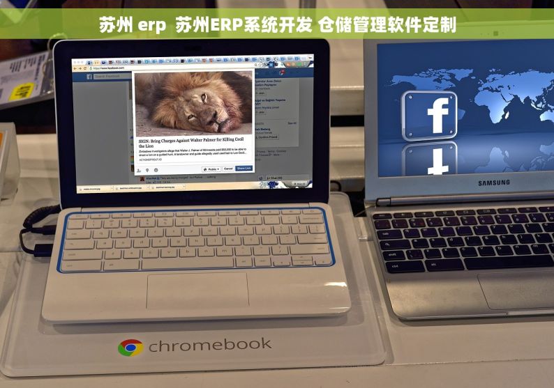 苏州 erp  苏州ERP系统开发 仓储管理软件定制