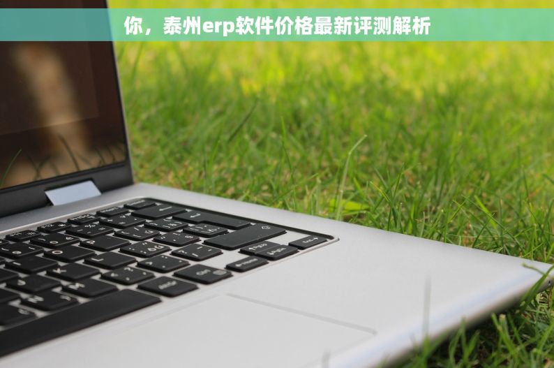 你，泰州erp软件价格最新评测解析