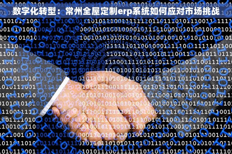 数字化转型：常州全屋定制erp系统如何应对市场挑战