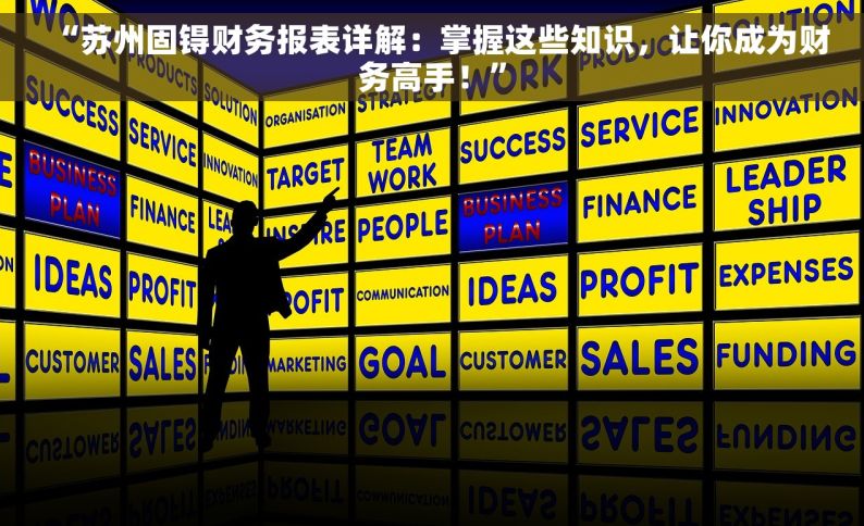 “苏州固锝财务报表详解：掌握这些知识，让你成为财务高手！”