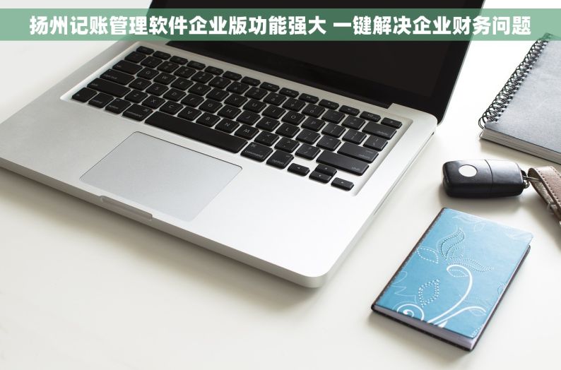 扬州记账管理软件企业版功能强大 一键解决企业财务问题