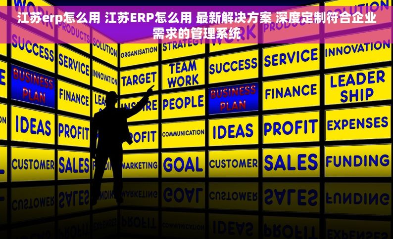 江苏erp怎么用 江苏ERP怎么用 最新解决方案 深度定制符合企业需求的管理系统