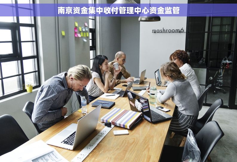 南京资金集中收付管理中心资金监管