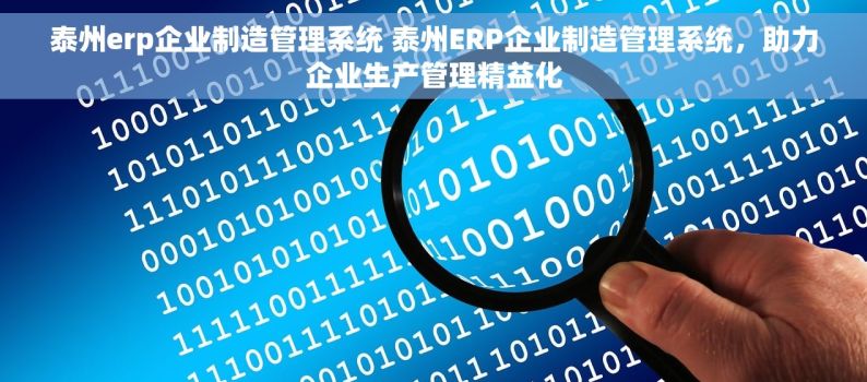 泰州erp企业制造管理系统 泰州ERP企业制造管理系统，助力企业生产管理精益化