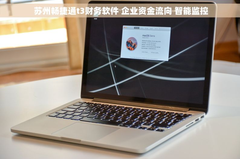  苏州畅捷通t3财务软件 企业资金流向 智能监控