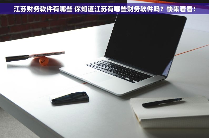 江苏财务软件有哪些 你知道江苏有哪些财务软件吗？快来看看！