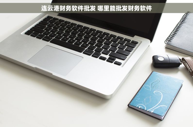 连云港财务软件批发 哪里能批发财务软件