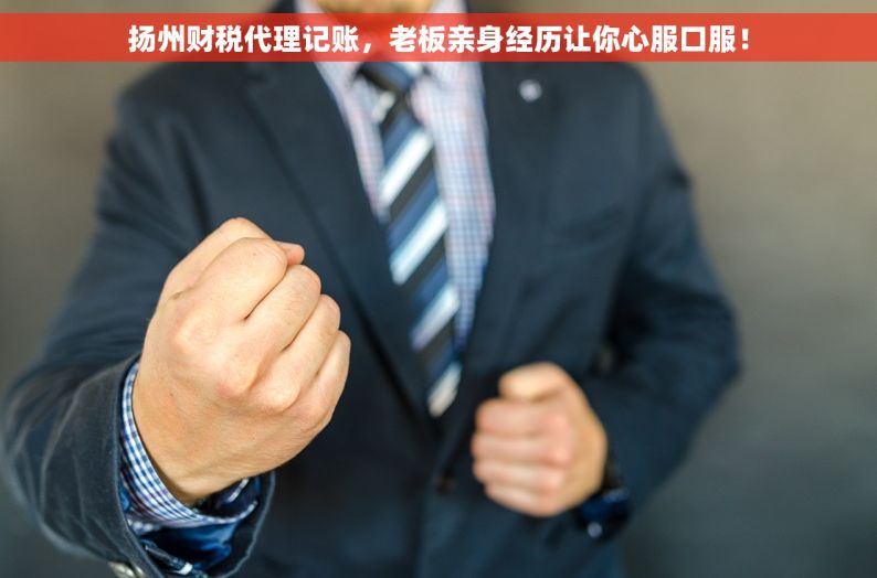 扬州财税代理记账，老板亲身经历让你心服口服！