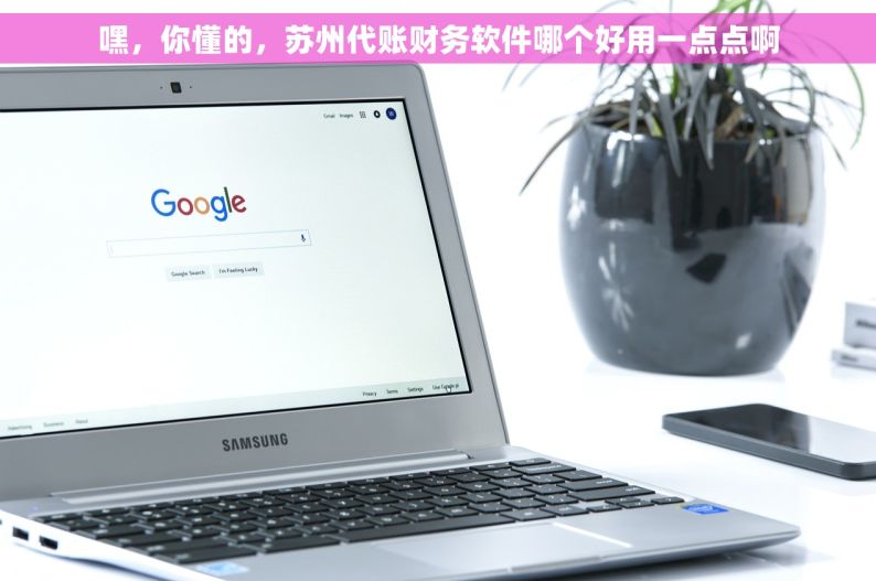 嘿，你懂的，苏州代账财务软件哪个好用一点点啊