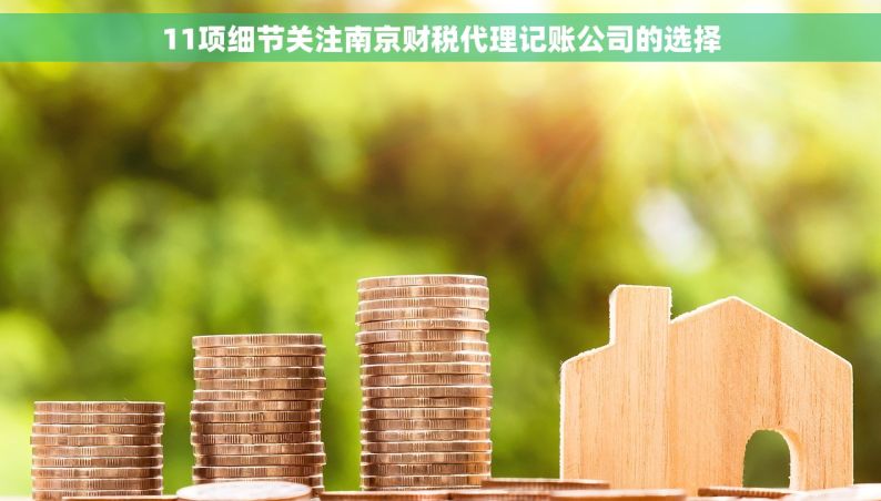 11项细节关注南京财税代理记账公司的选择