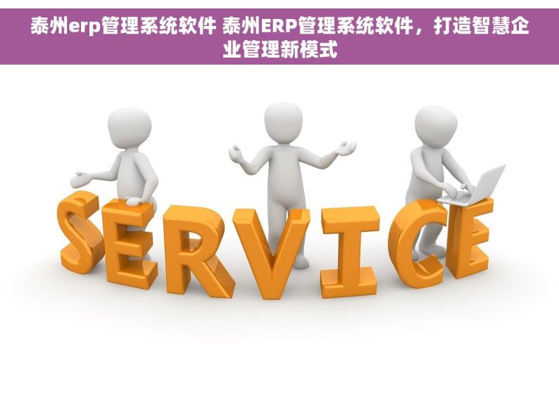 泰州erp管理系统软件 泰州ERP管理系统软件，打造智慧企业管理新模式