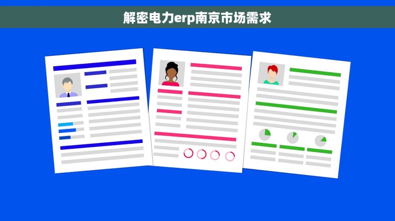 解密电力erp南京市场需求