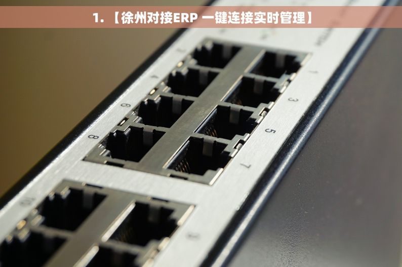 1. 【徐州对接ERP 一键连接实时管理】